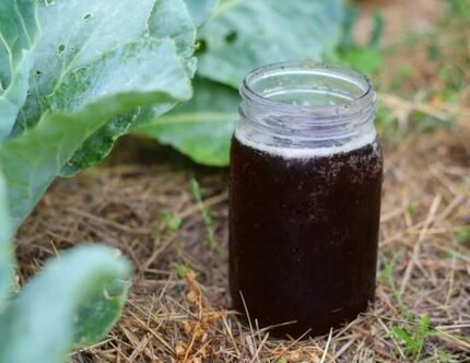 vermiwash-organic-liquid-fertilizer-and-pesticide-638